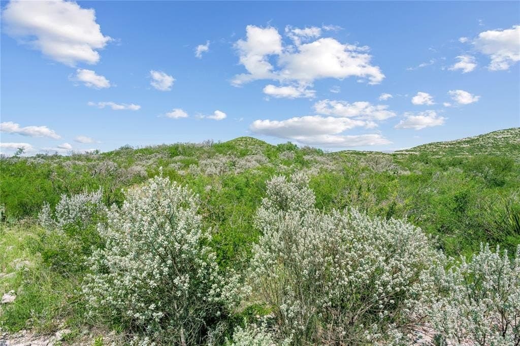 7,532 acres in Uvalde County - photo 37
