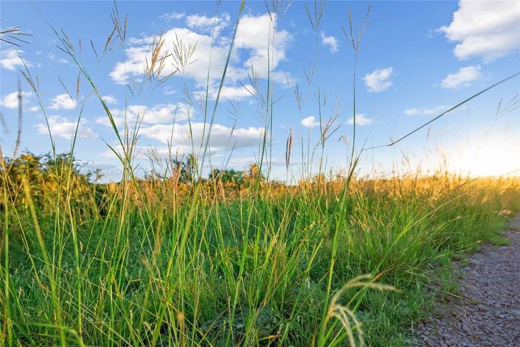 7,532 acres in Uvalde County - photo 6