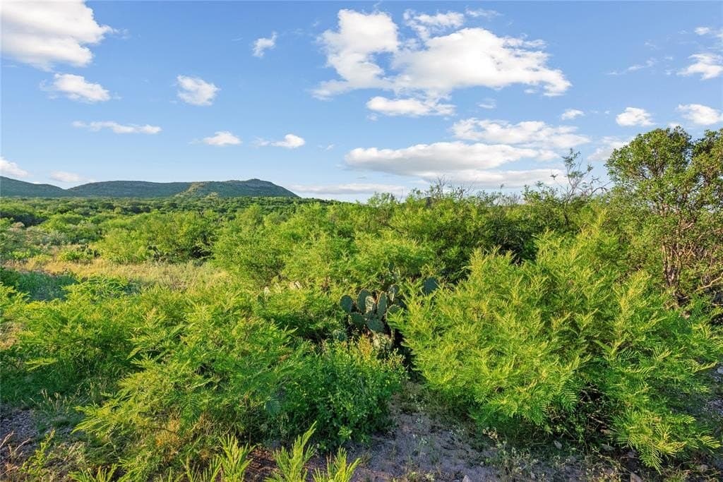 7,532 acres in Uvalde County - photo 8