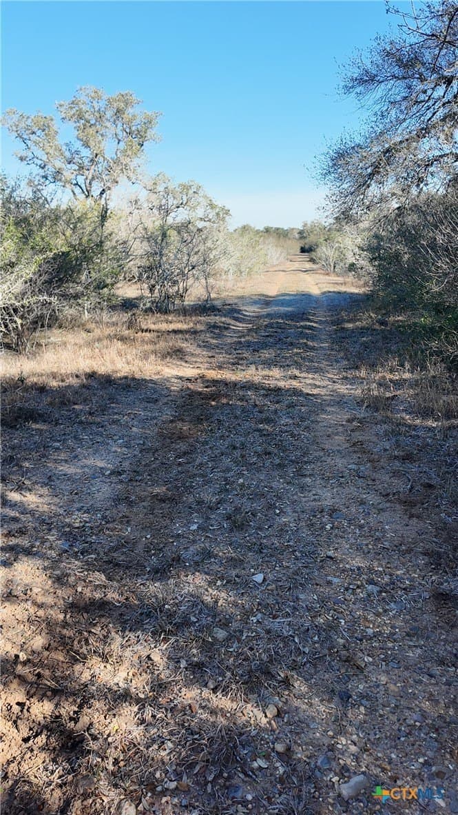 165.24 acres in Goliad County - photo 14