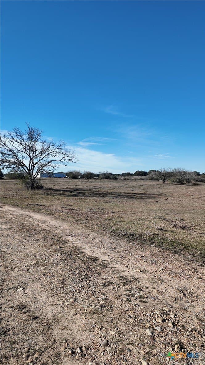 165.24 acres in Goliad County - photo 9