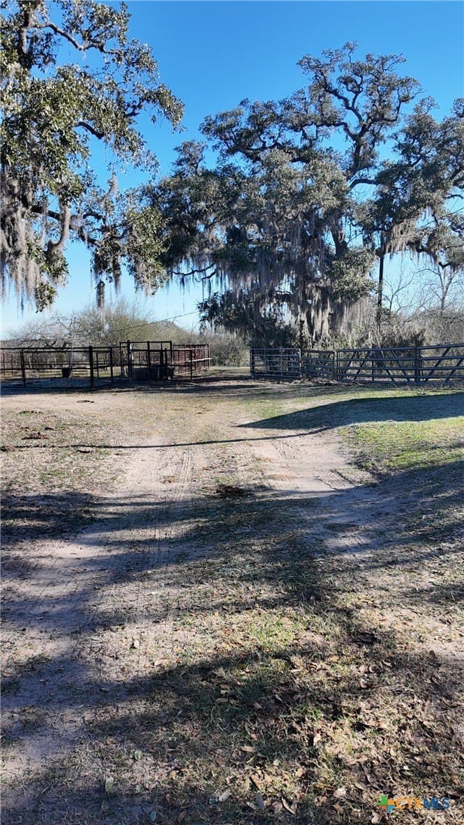 165.24 acres in Goliad County - photo 10