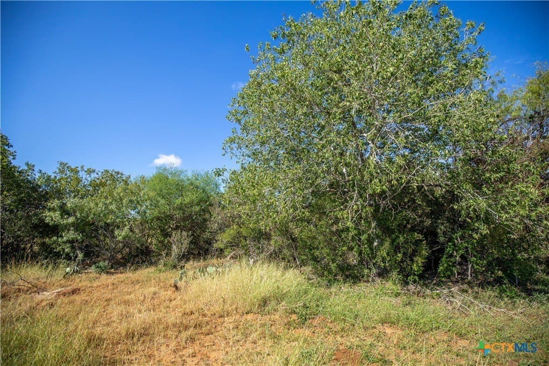 22.25 acres in Atascosa County - photo 18