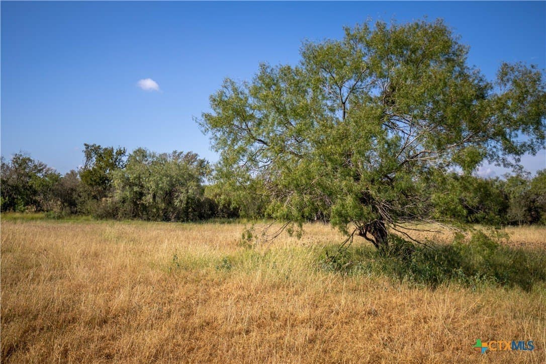 22.25 acres in Atascosa County - photo 17