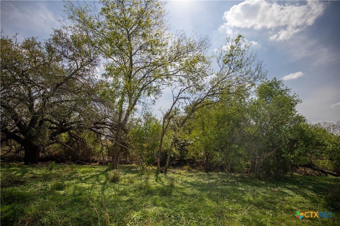 22.25 acres in Atascosa County - photo 39