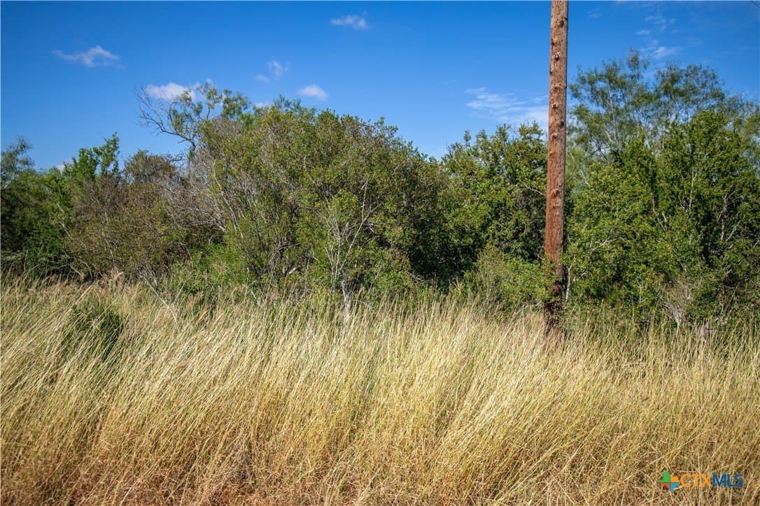 22.25 acres in Atascosa County - photo 22
