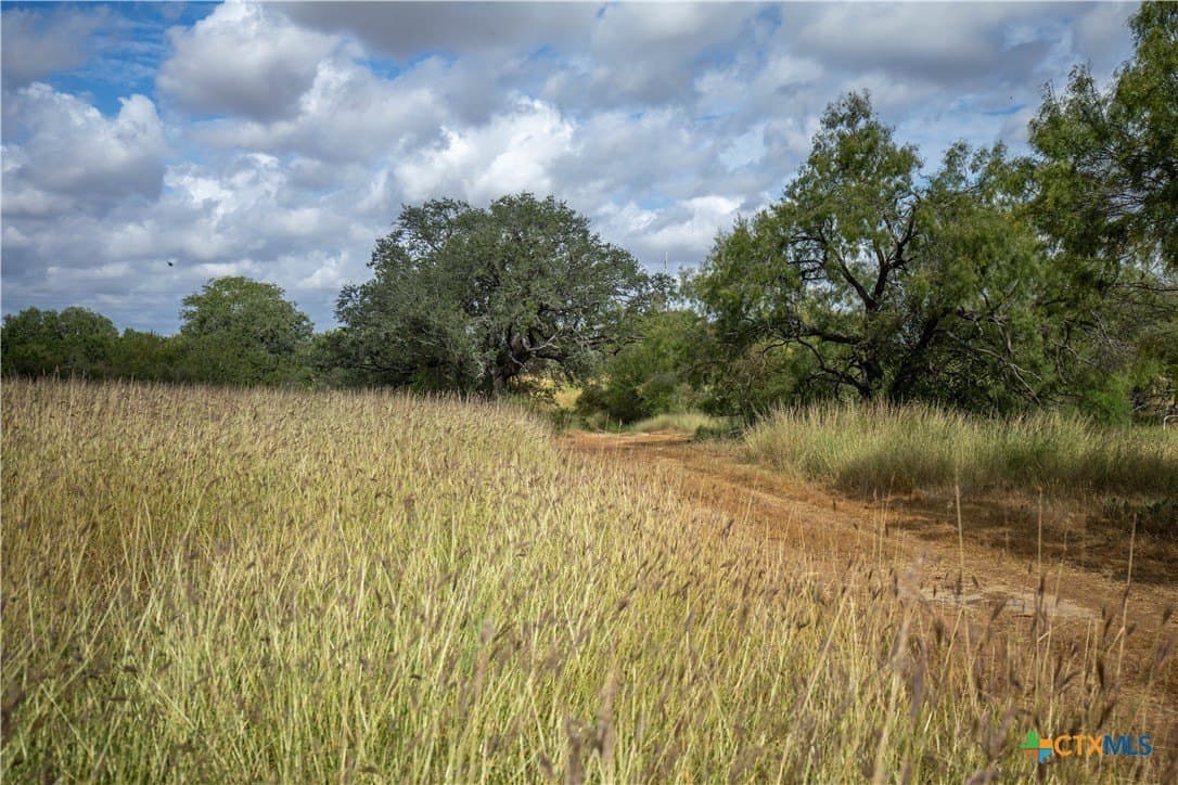 22.25 acres in Atascosa County - photo 28