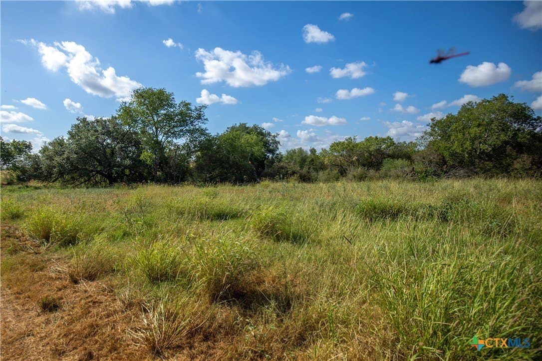 22.25 acres in Atascosa County - photo 24