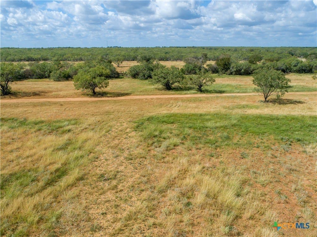 22.25 acres in Atascosa County - photo 15