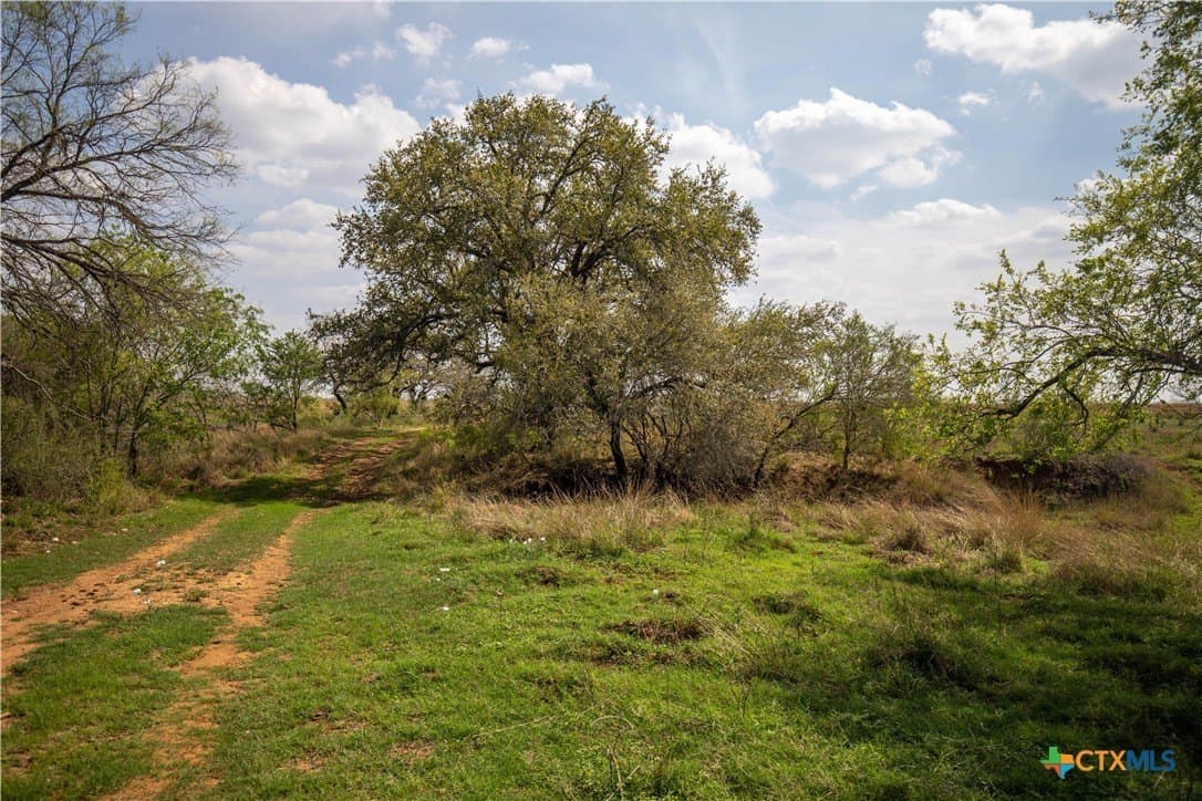 22.25 acres in Atascosa County - photo 41