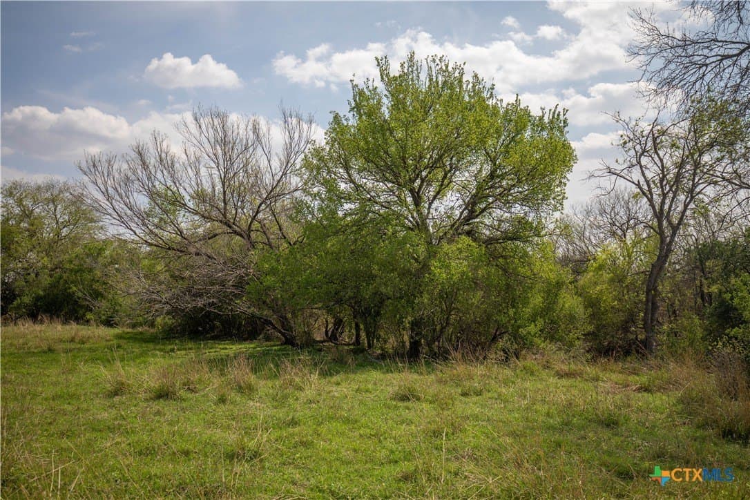 22.25 acres in Atascosa County - photo 37
