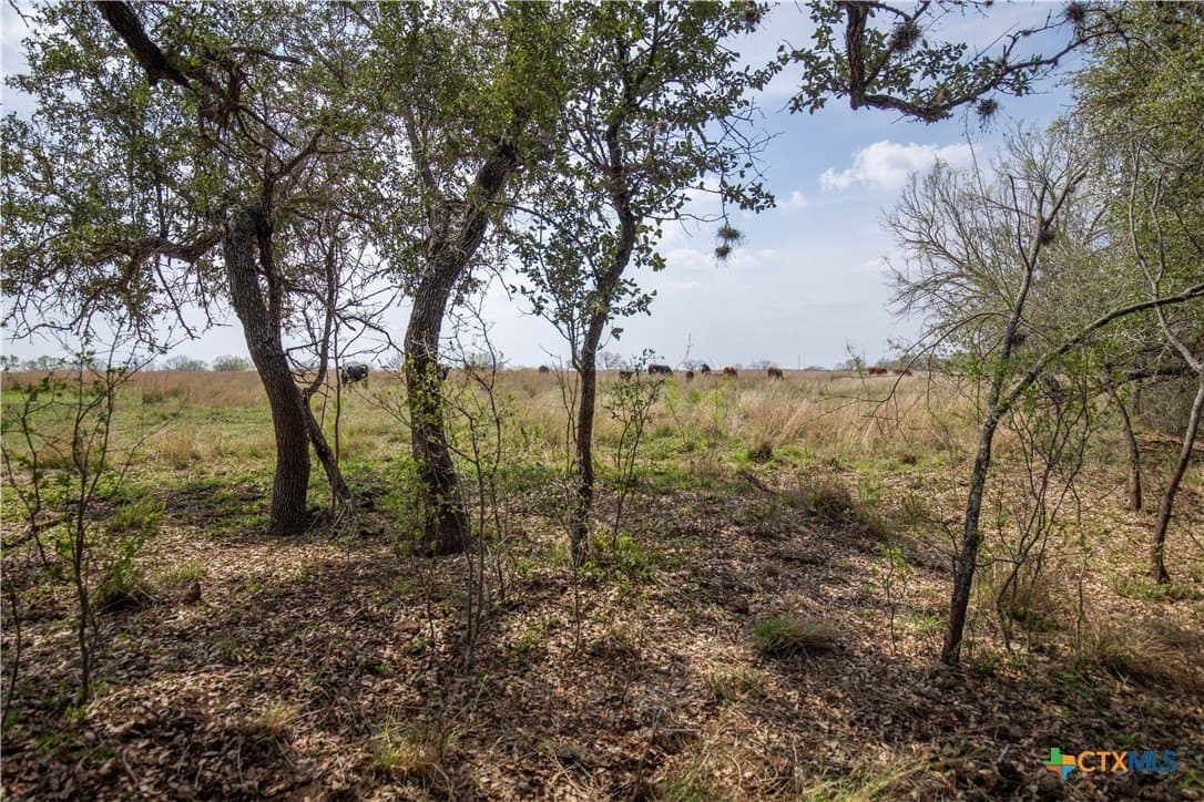 22.25 acres in Atascosa County - photo 36