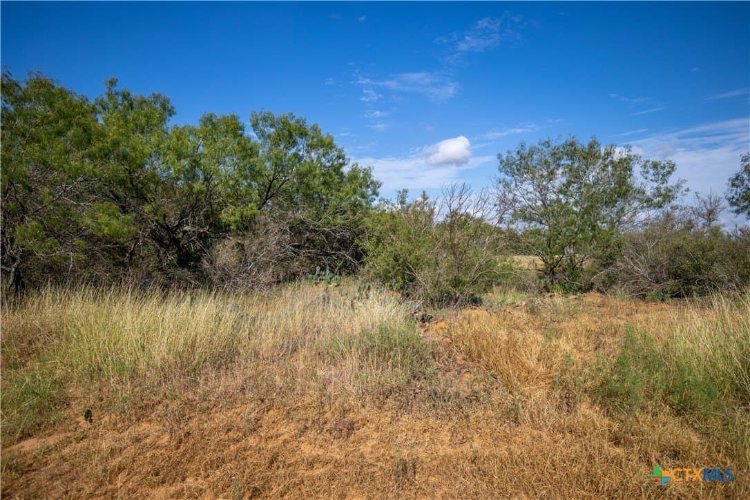 22.25 acres in Atascosa County - photo 21