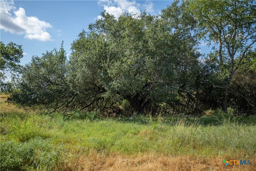 22.25 acres in Atascosa County - photo 25