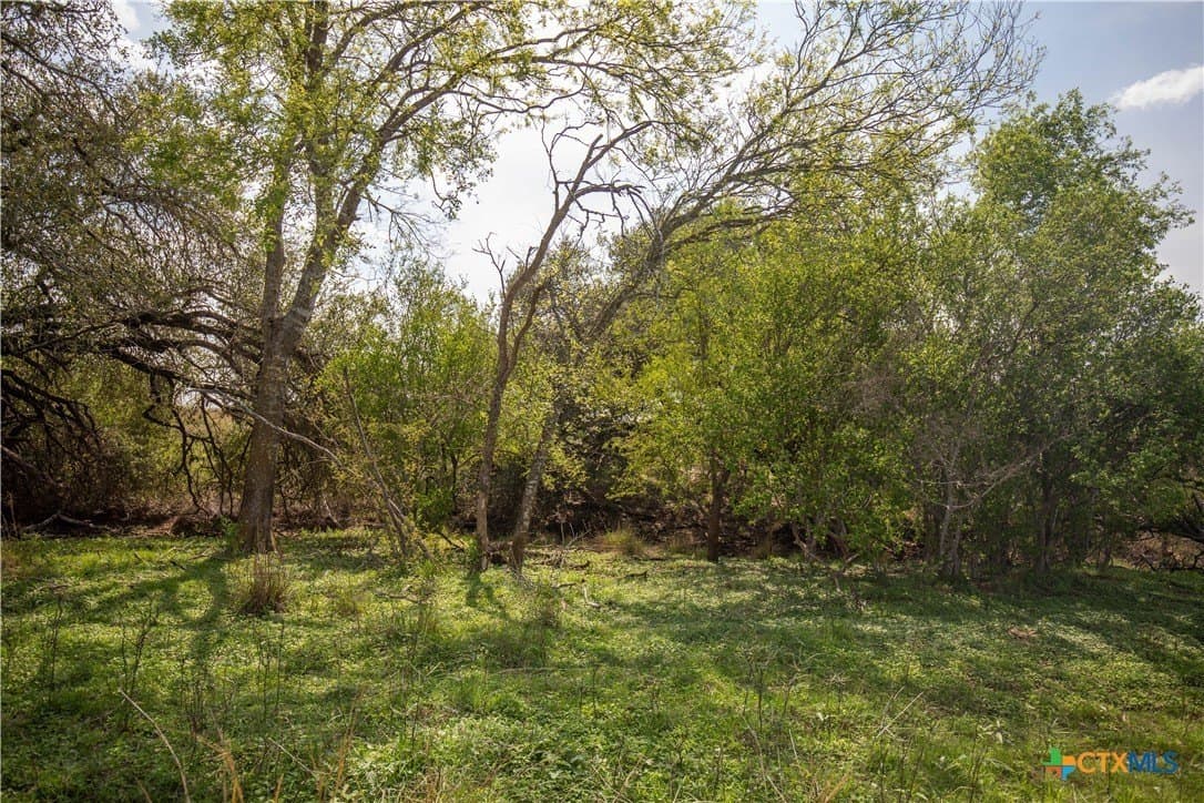 22.25 acres in Atascosa County - photo 40