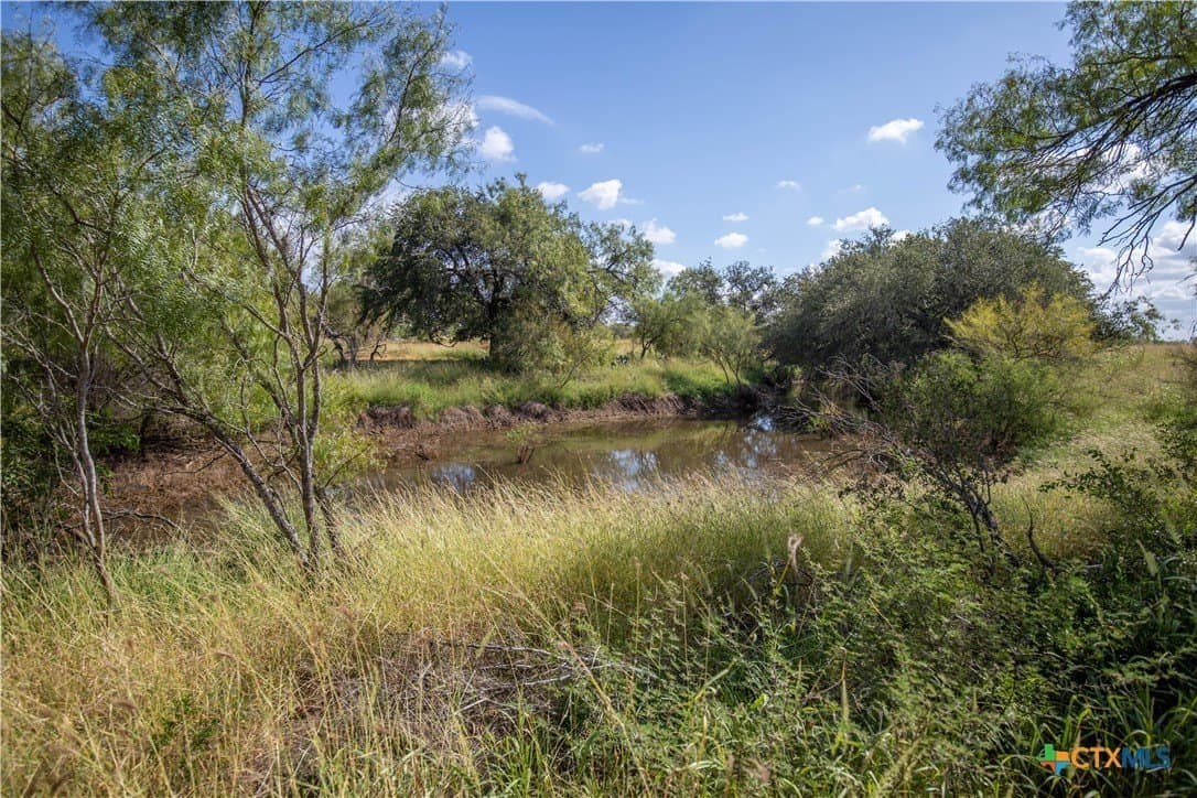 22.25 acres in Atascosa County - photo 27