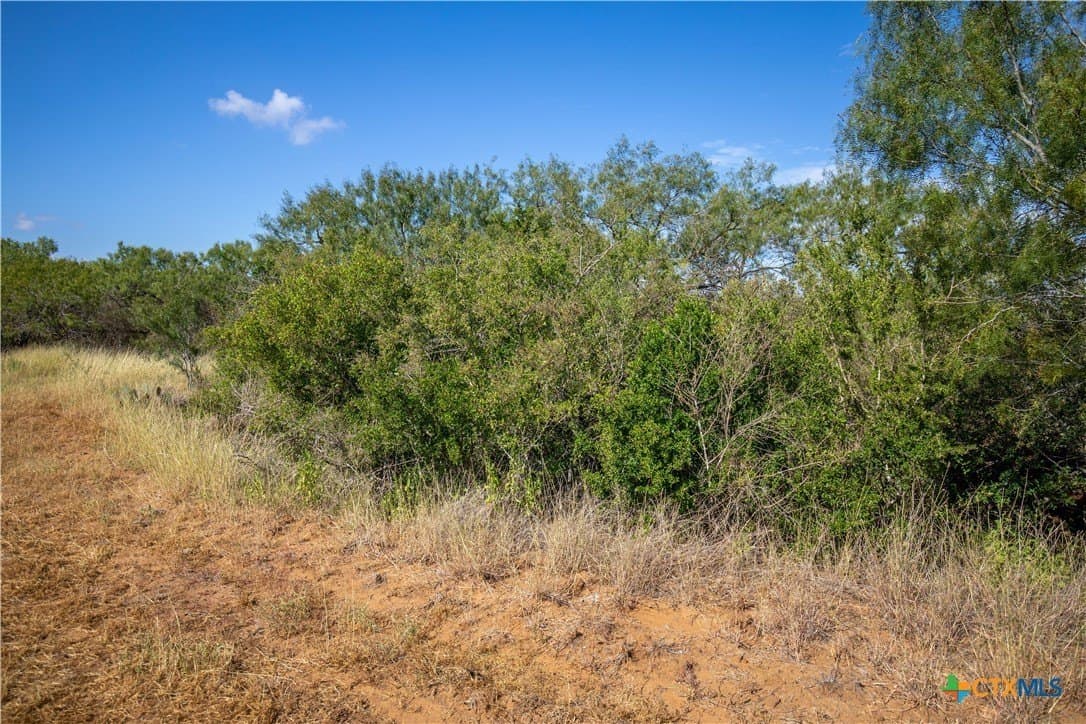 22.25 acres in Atascosa County - photo 20
