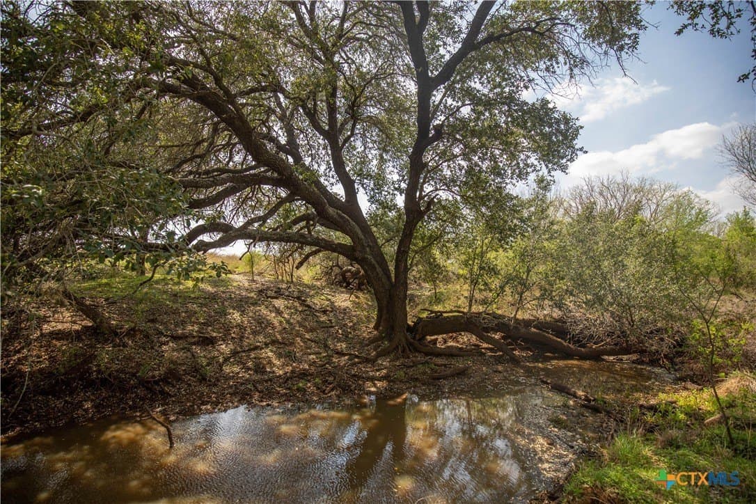 22.25 acres in Atascosa County - photo 14