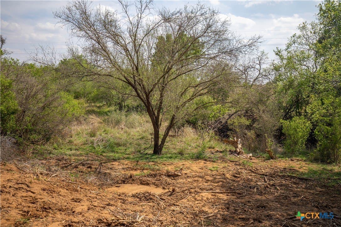 22.25 acres in Atascosa County - photo 35