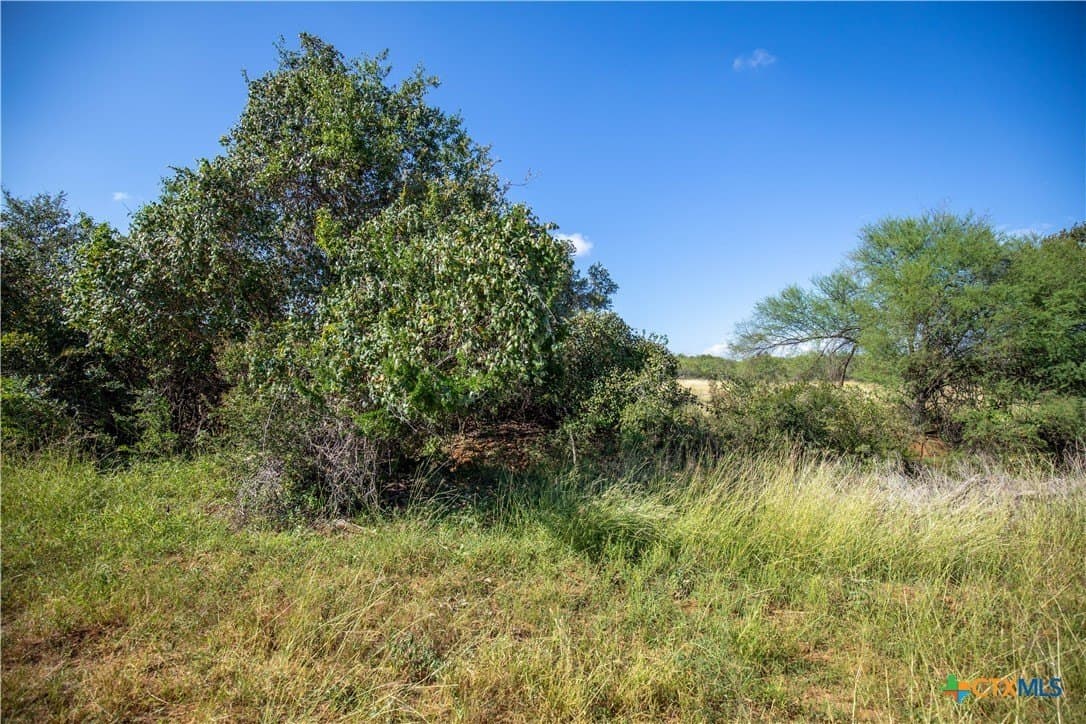 22.25 acres in Atascosa County - photo 19