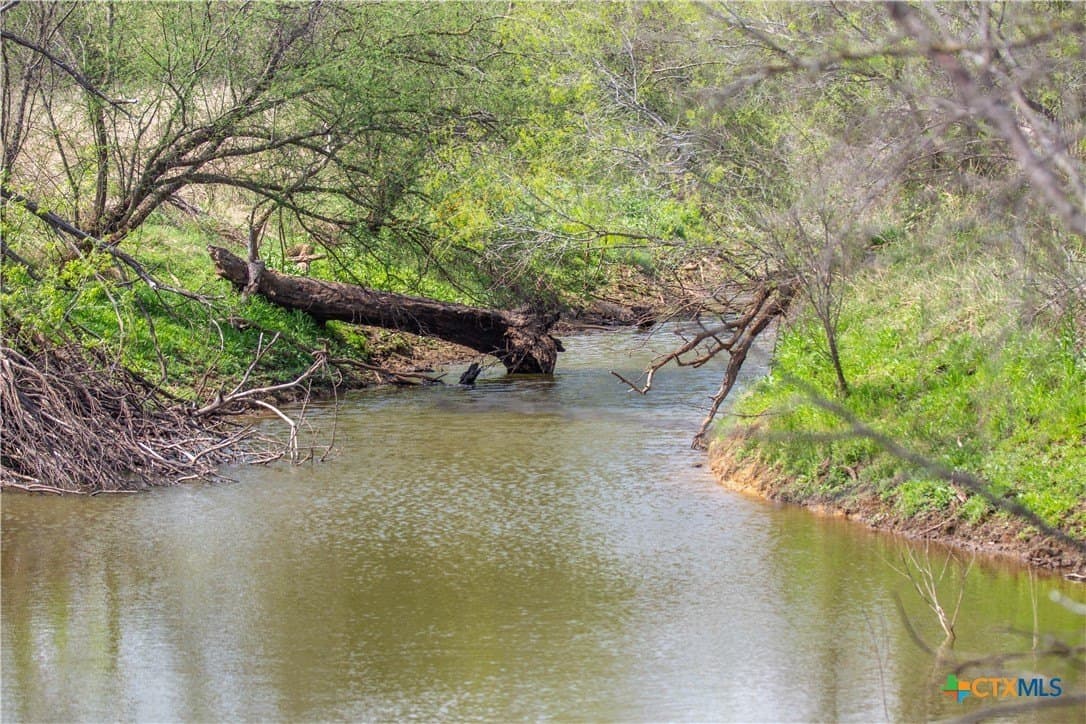 22.25 acres in Atascosa County - photo 12