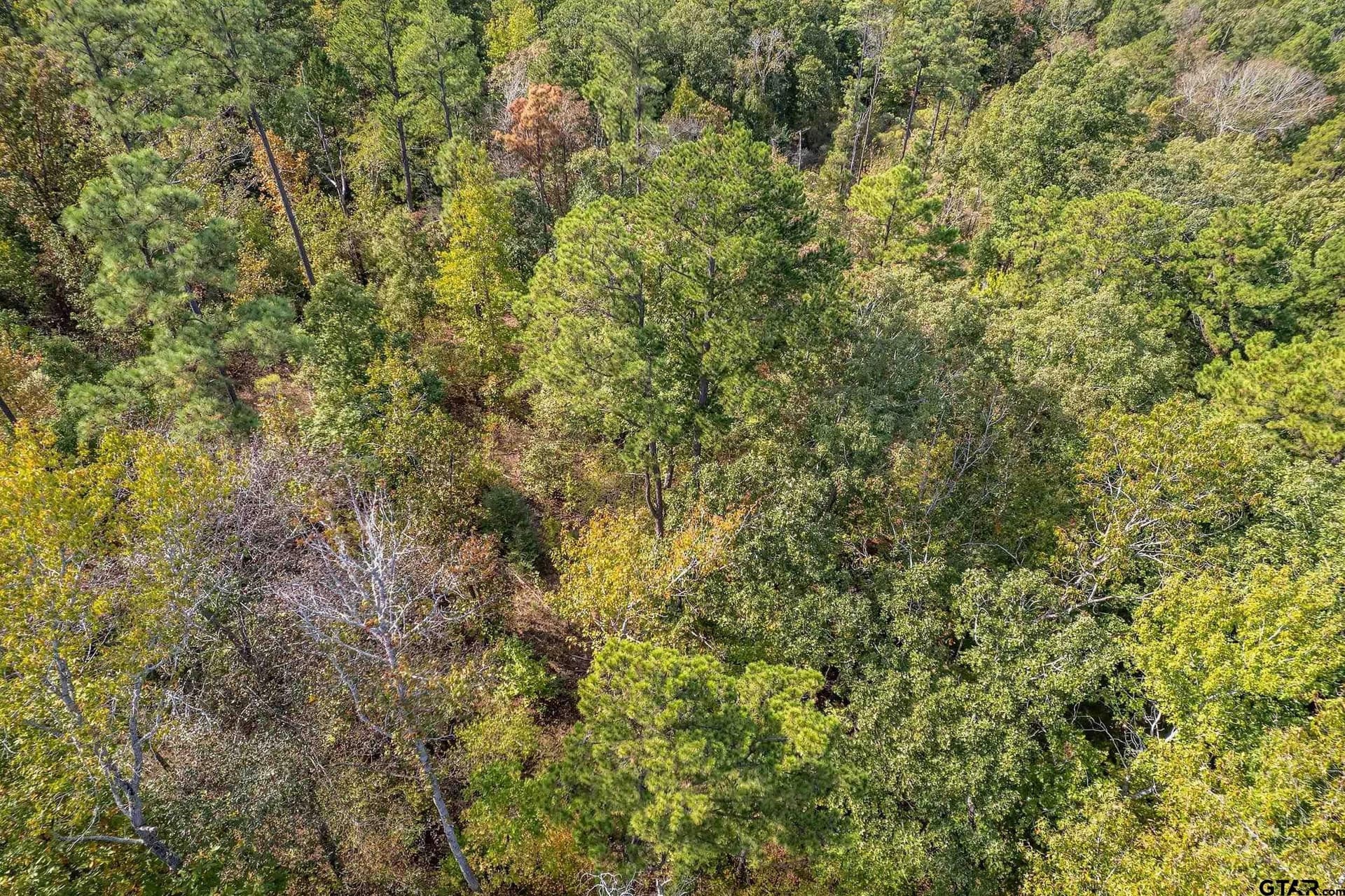 24.05 acres in Cherokee County - photo 10