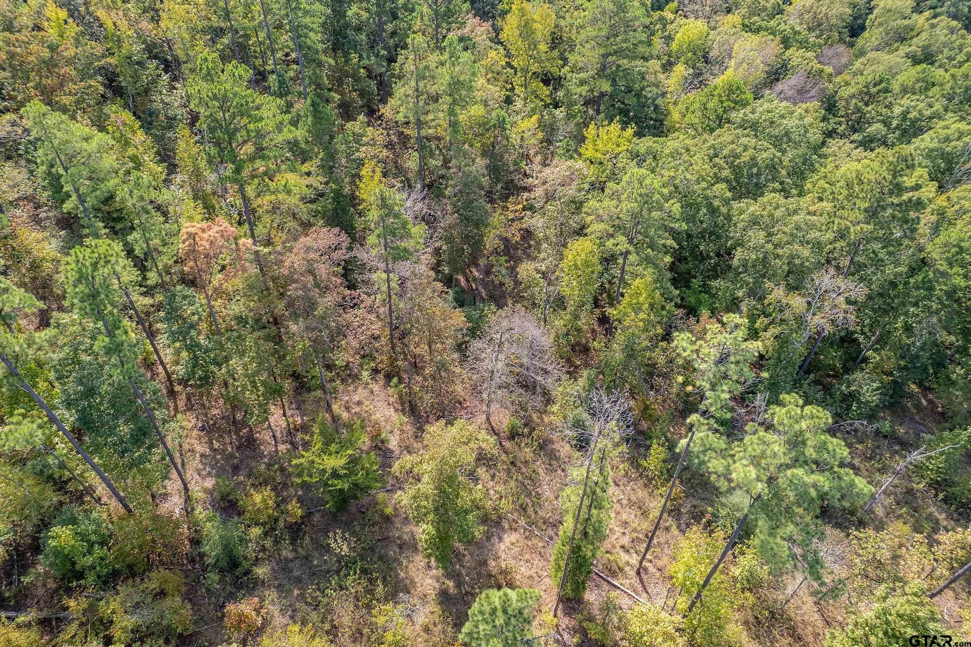 24.05 acres in Cherokee County - photo 11