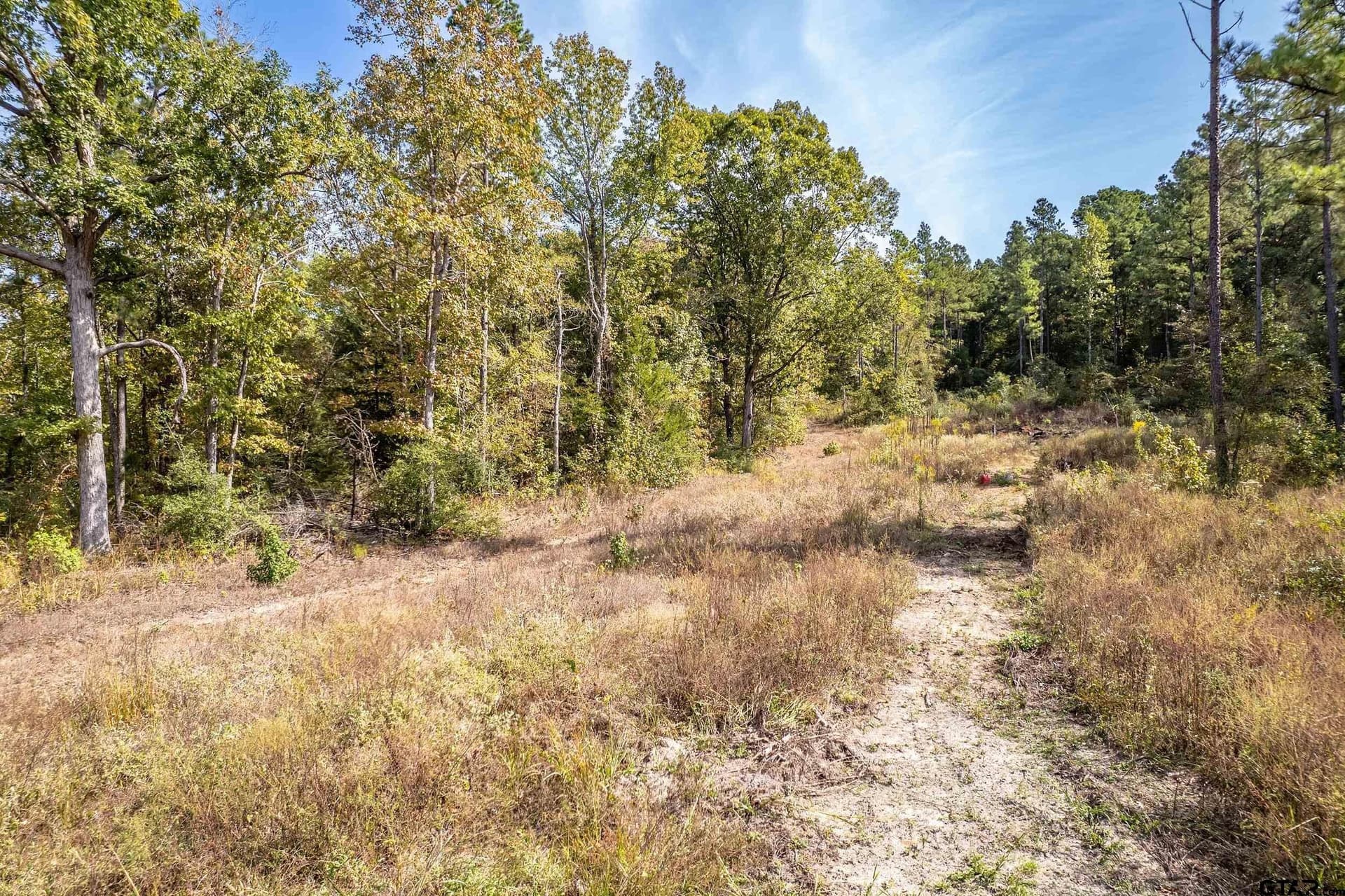 24.05 acres in Cherokee County - photo 14