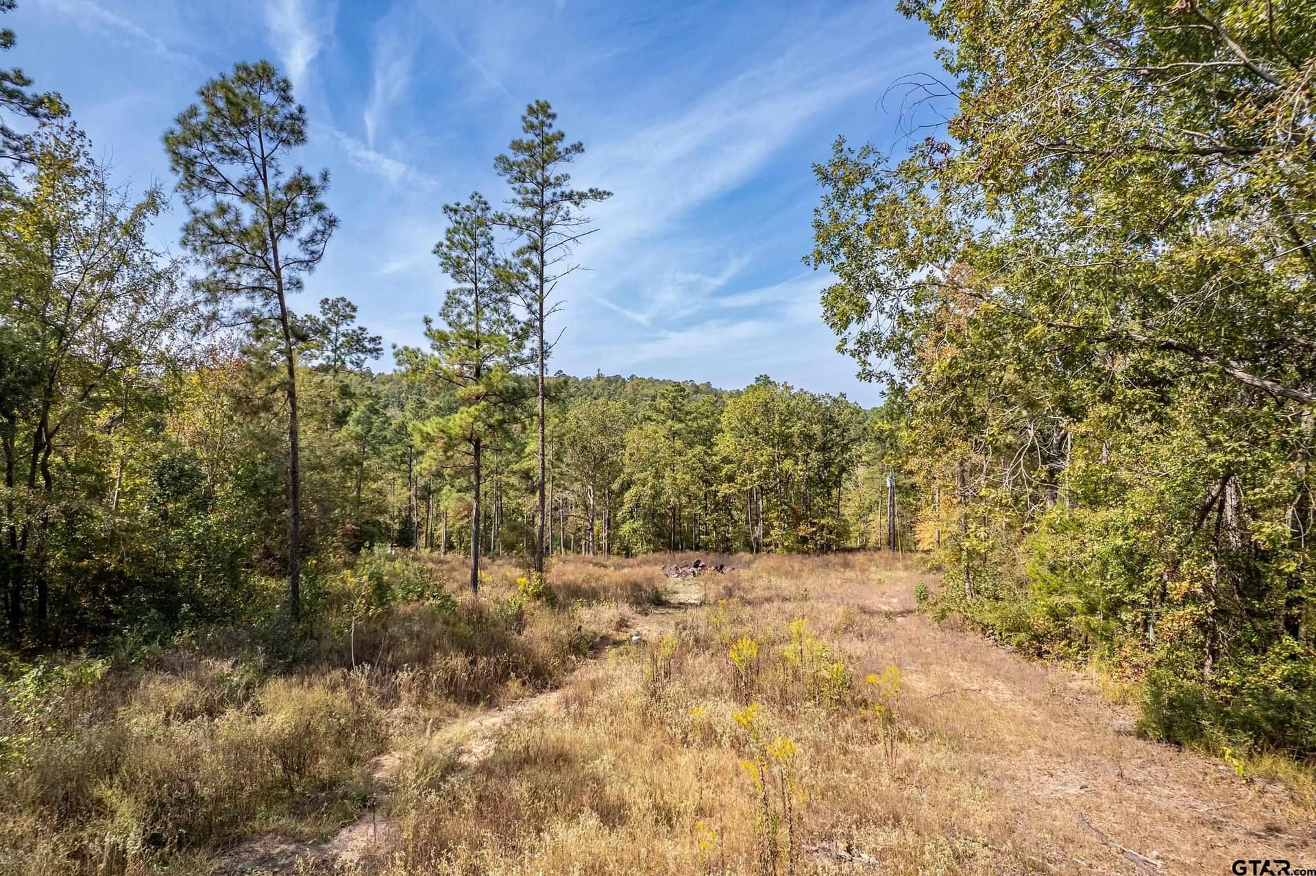 24.05 acres in Cherokee County - photo 12