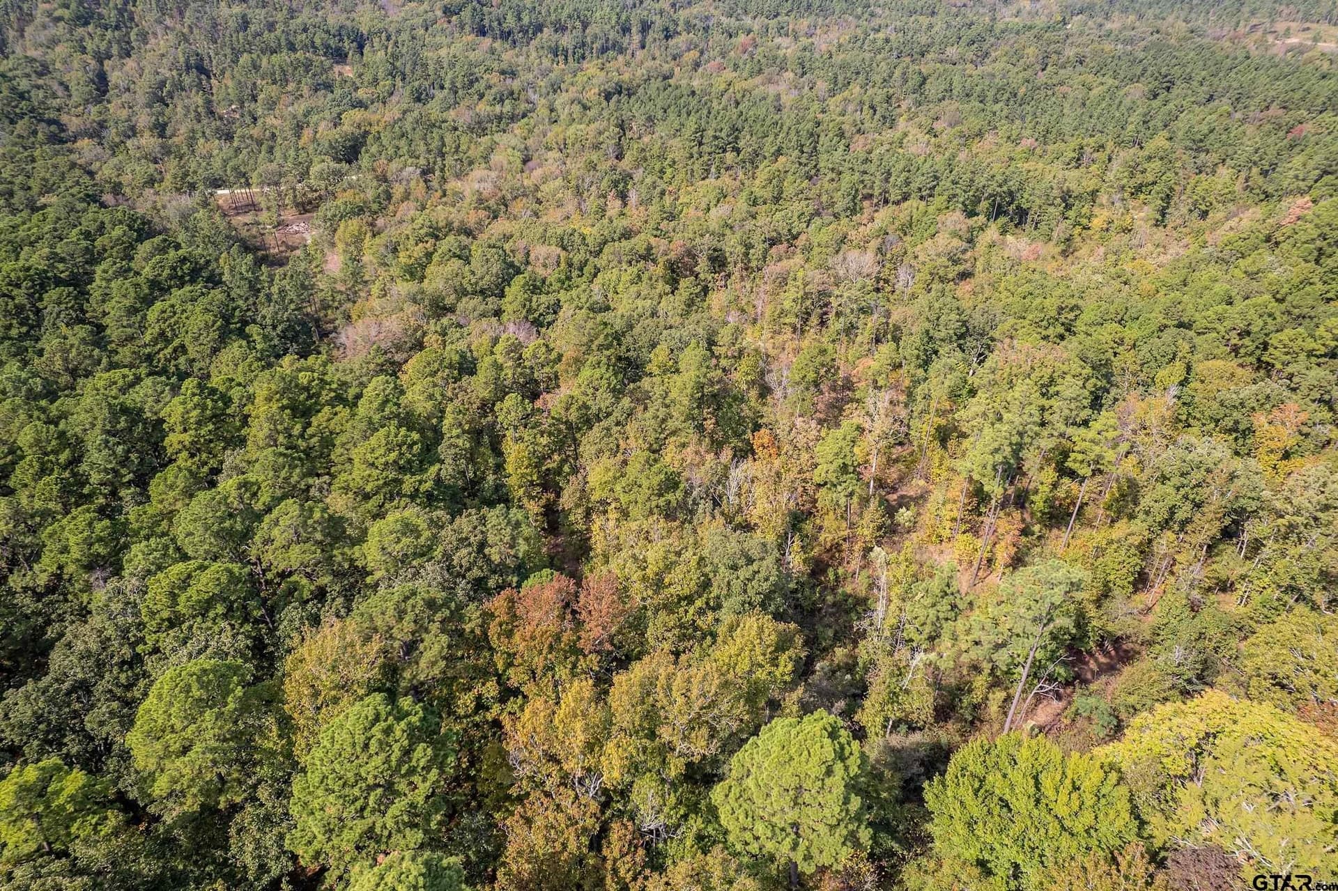 24.05 acres in Cherokee County - photo 9