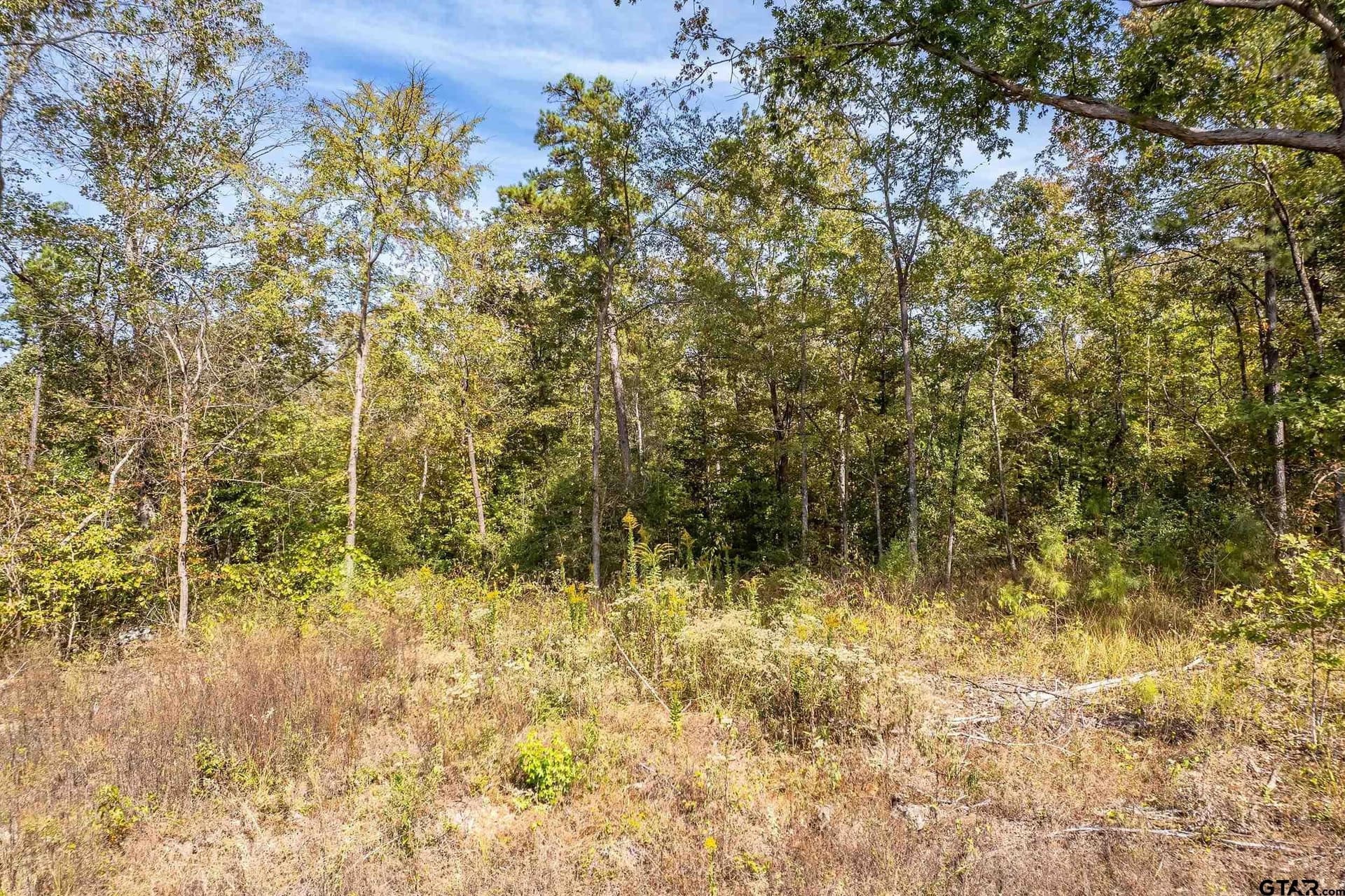 24.05 acres in Cherokee County - photo 16