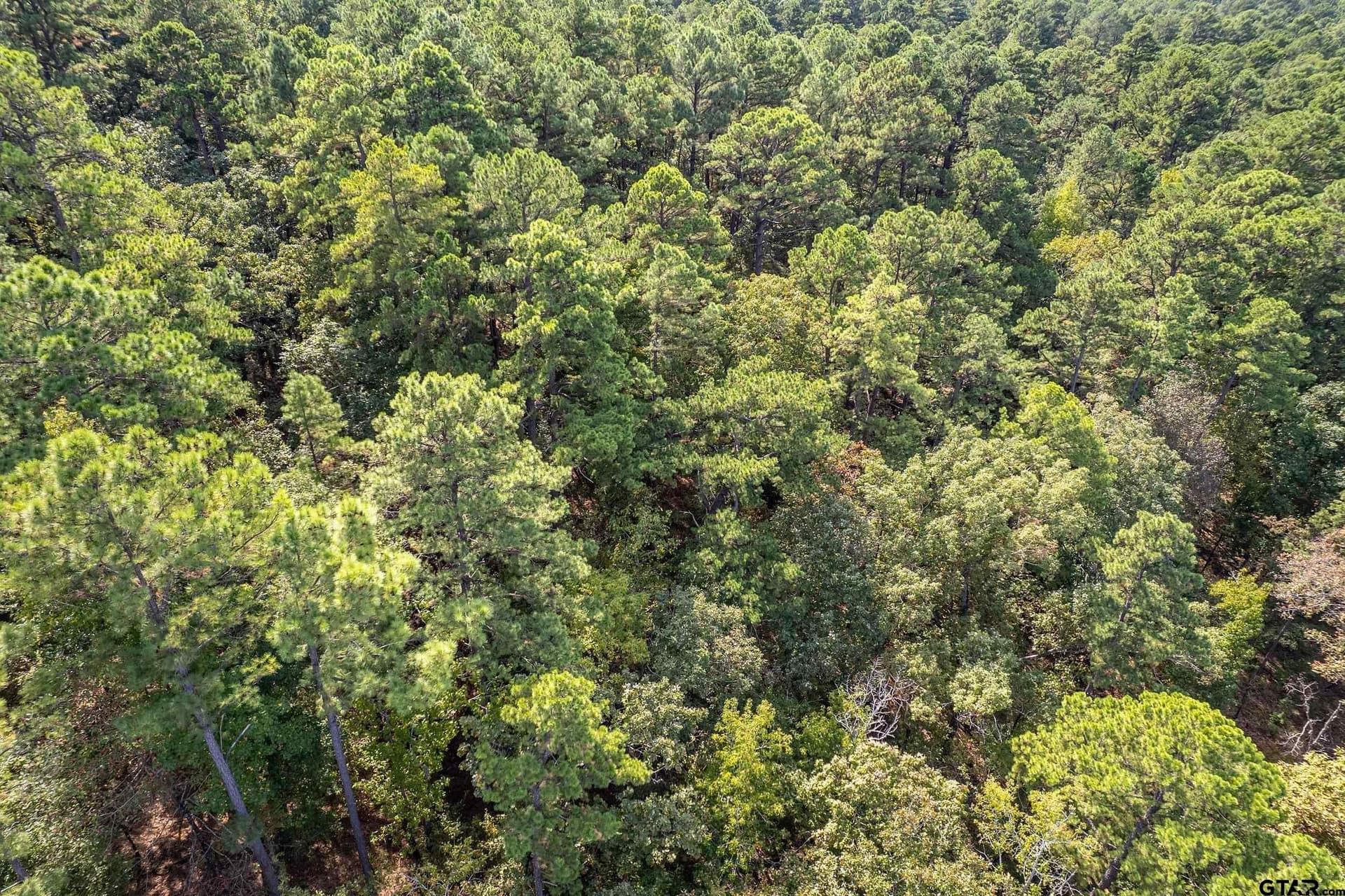 24.05 acres in Cherokee County - photo 19