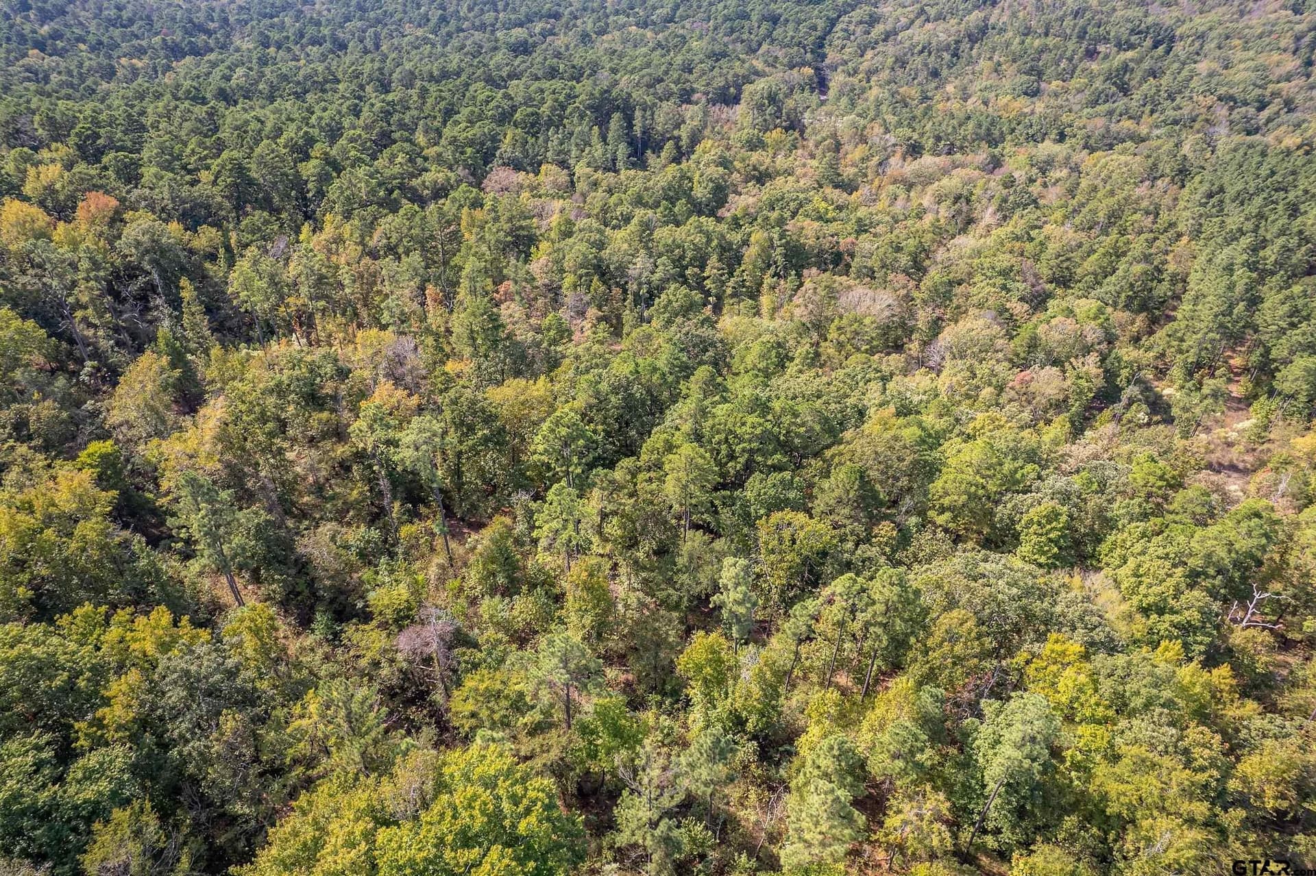 24.05 acres in Cherokee County - photo 21