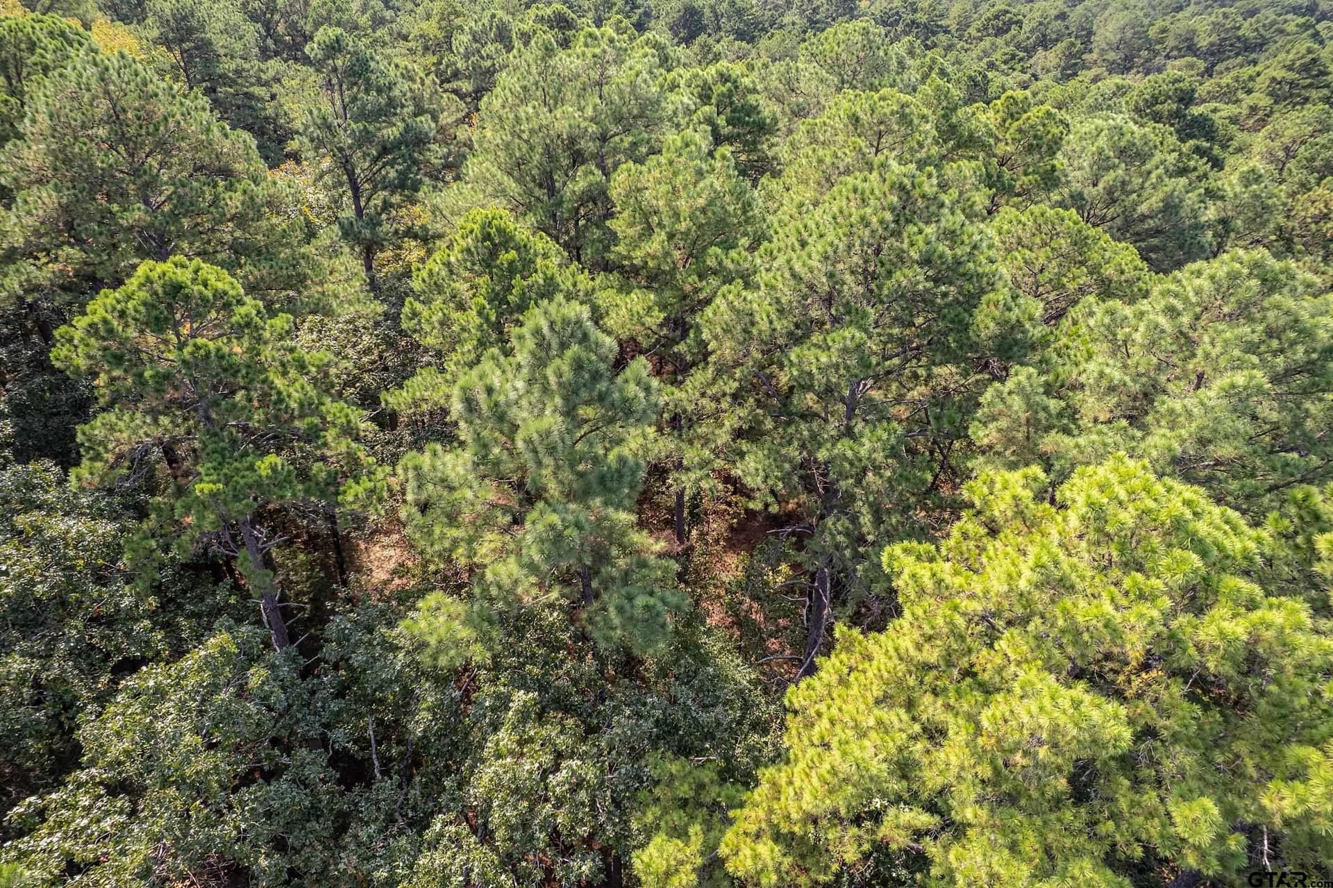24.05 acres in Cherokee County - photo 18