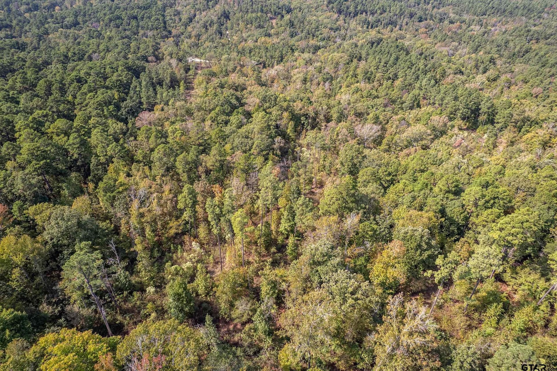 24.05 acres in Cherokee County - photo 20