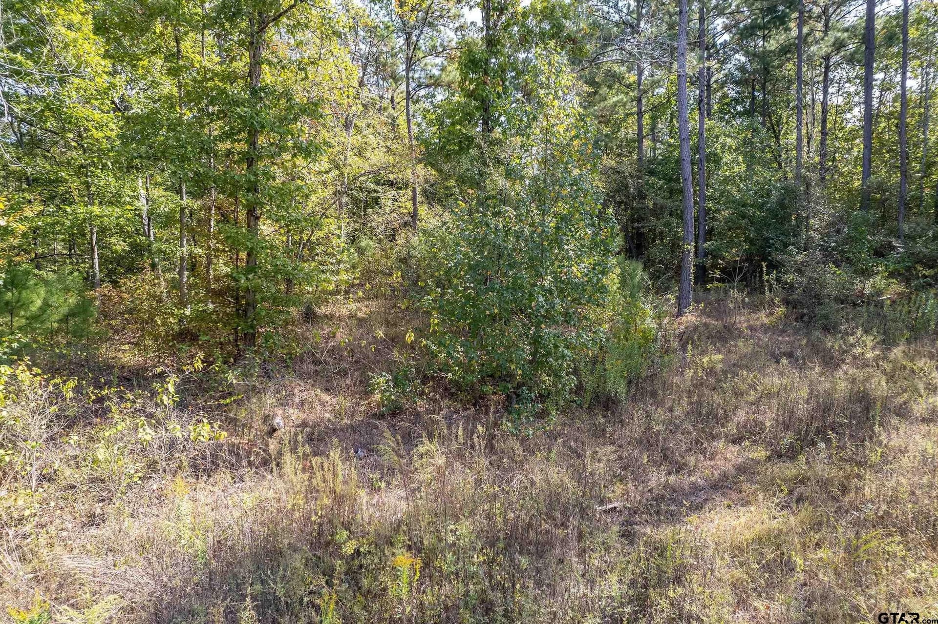24.05 acres in Cherokee County - photo 17