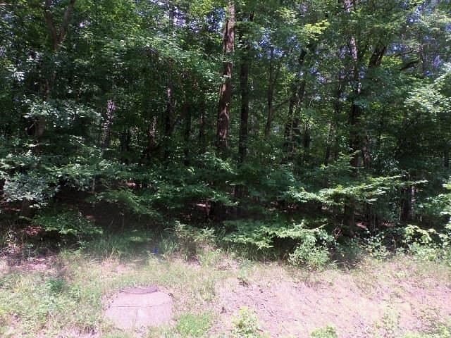 1.27 acres in Gregg County - photo 2