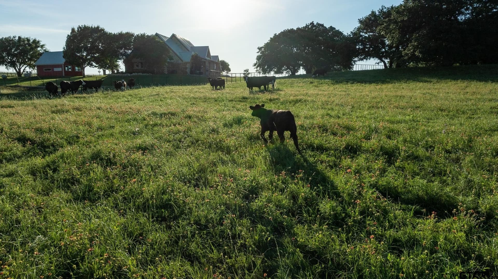 249.84 acres in McLennan County - photo 34