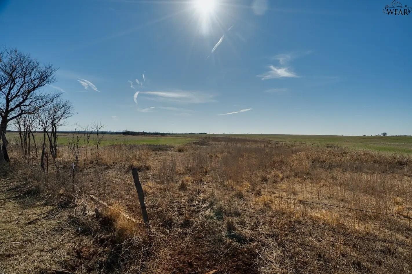 120.08 acres in Wichita County - photo 15