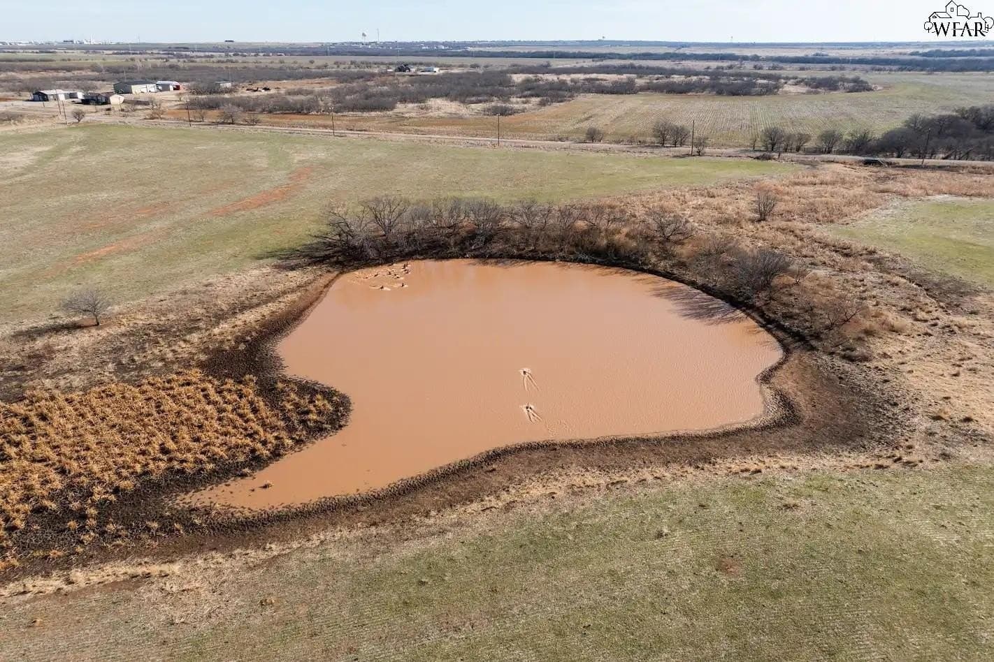 120.08 acres in Wichita County - photo 5
