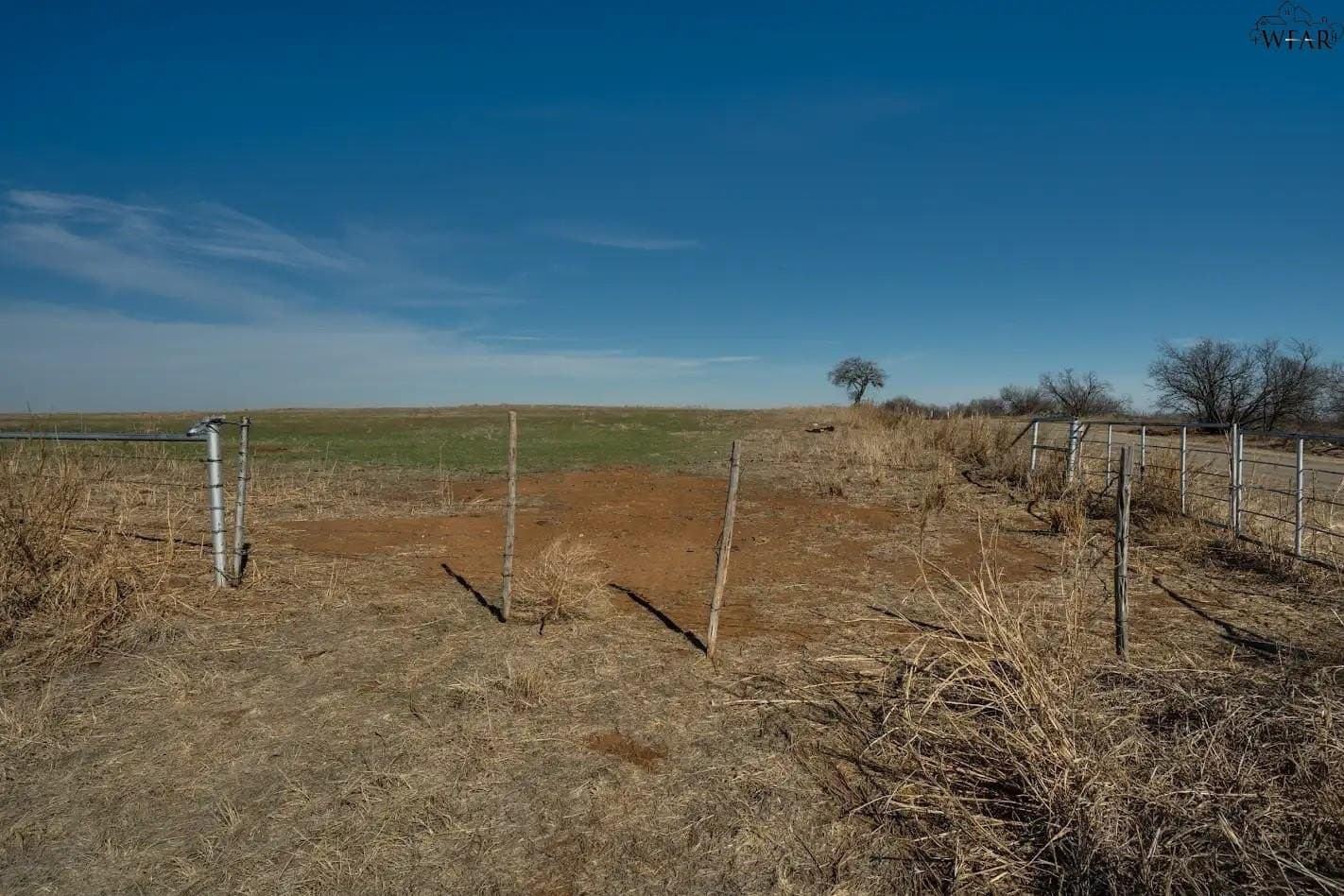 120.08 acres in Wichita County - photo 10