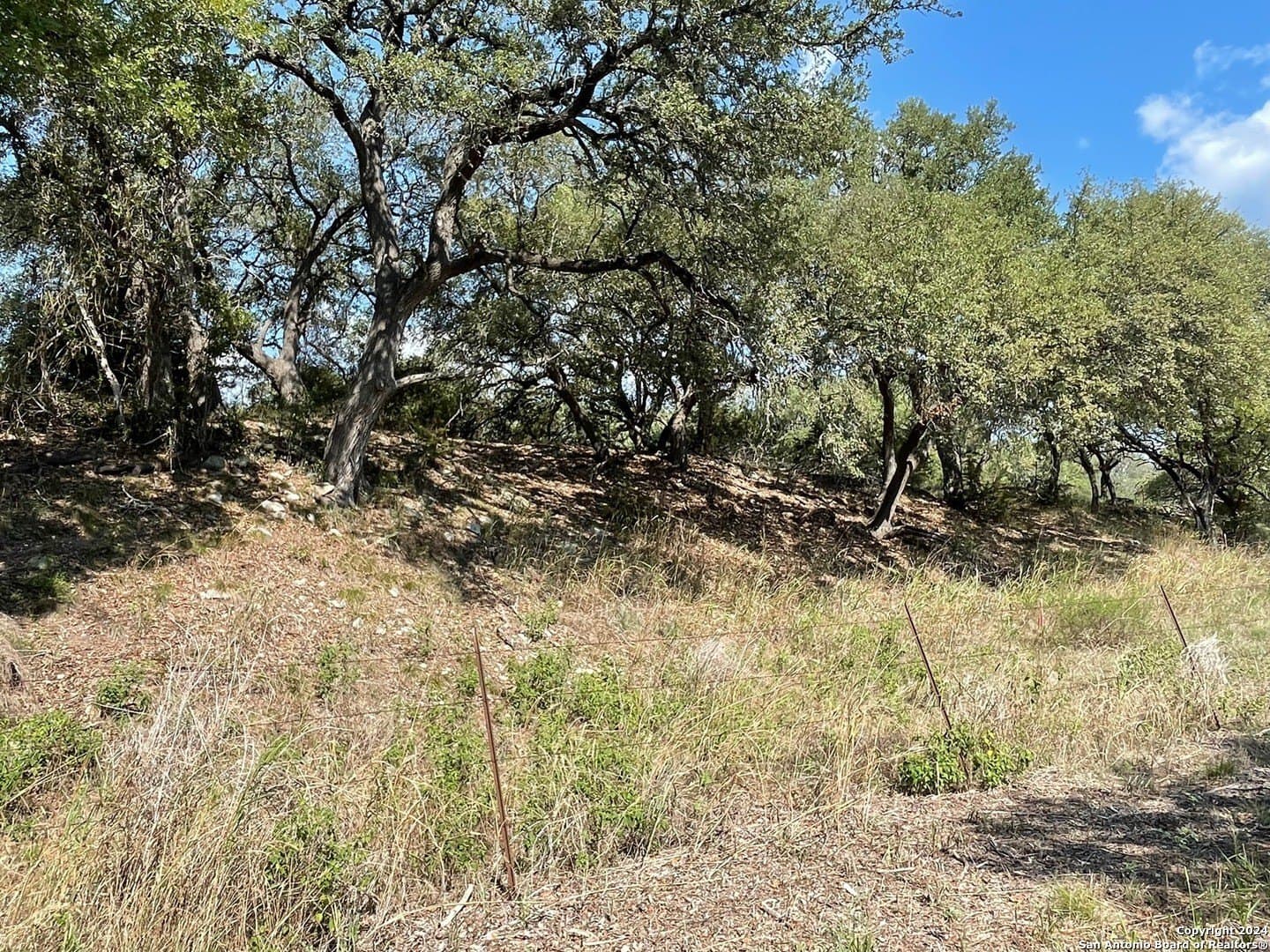 0.57 acres in Comal County - photo 16