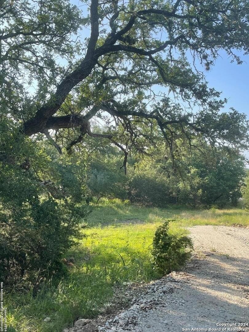 0.57 acres in Comal County - photo 5