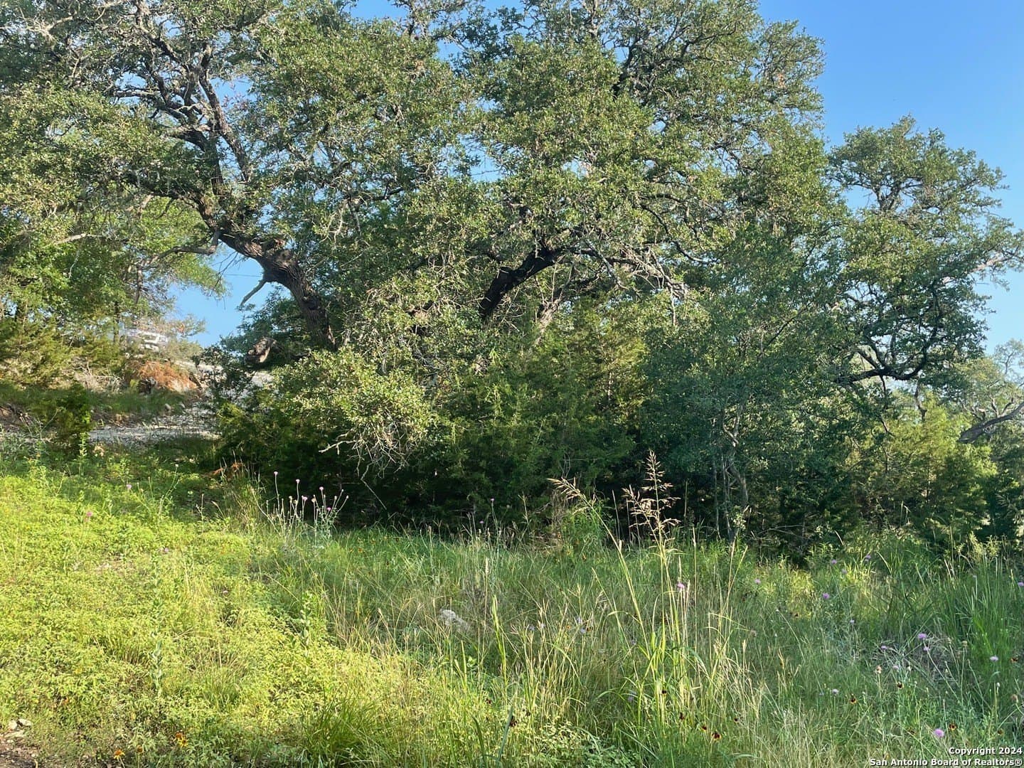 0.57 acres in Comal County - photo 11