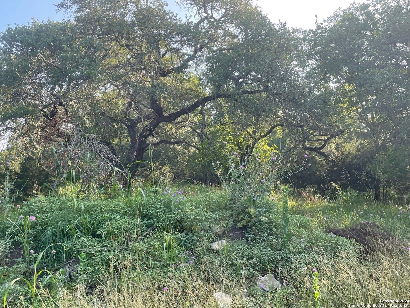 0.57 acres in Comal County - photo 12