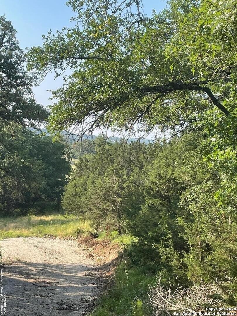 0.57 acres in Comal County - photo 10