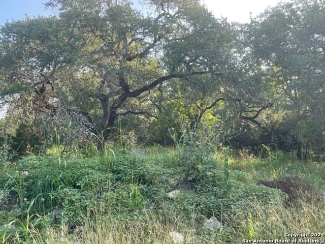 0.57 acres in Comal County - photo 6