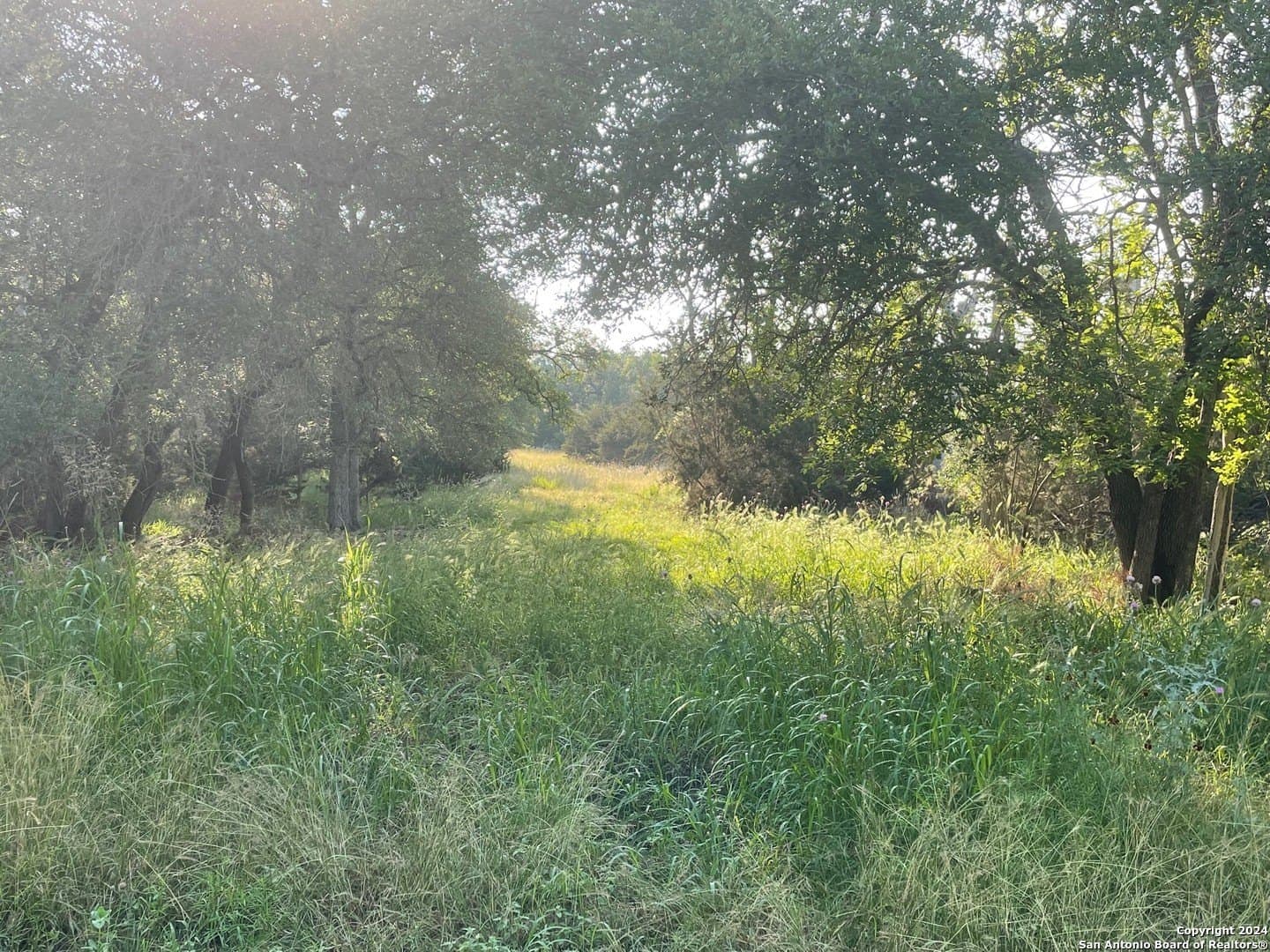 0.57 acres in Comal County - photo 4