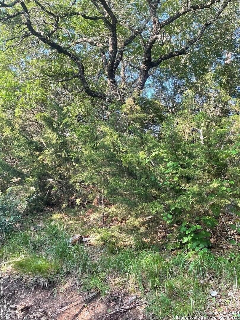 0.57 acres in Comal County - photo 14