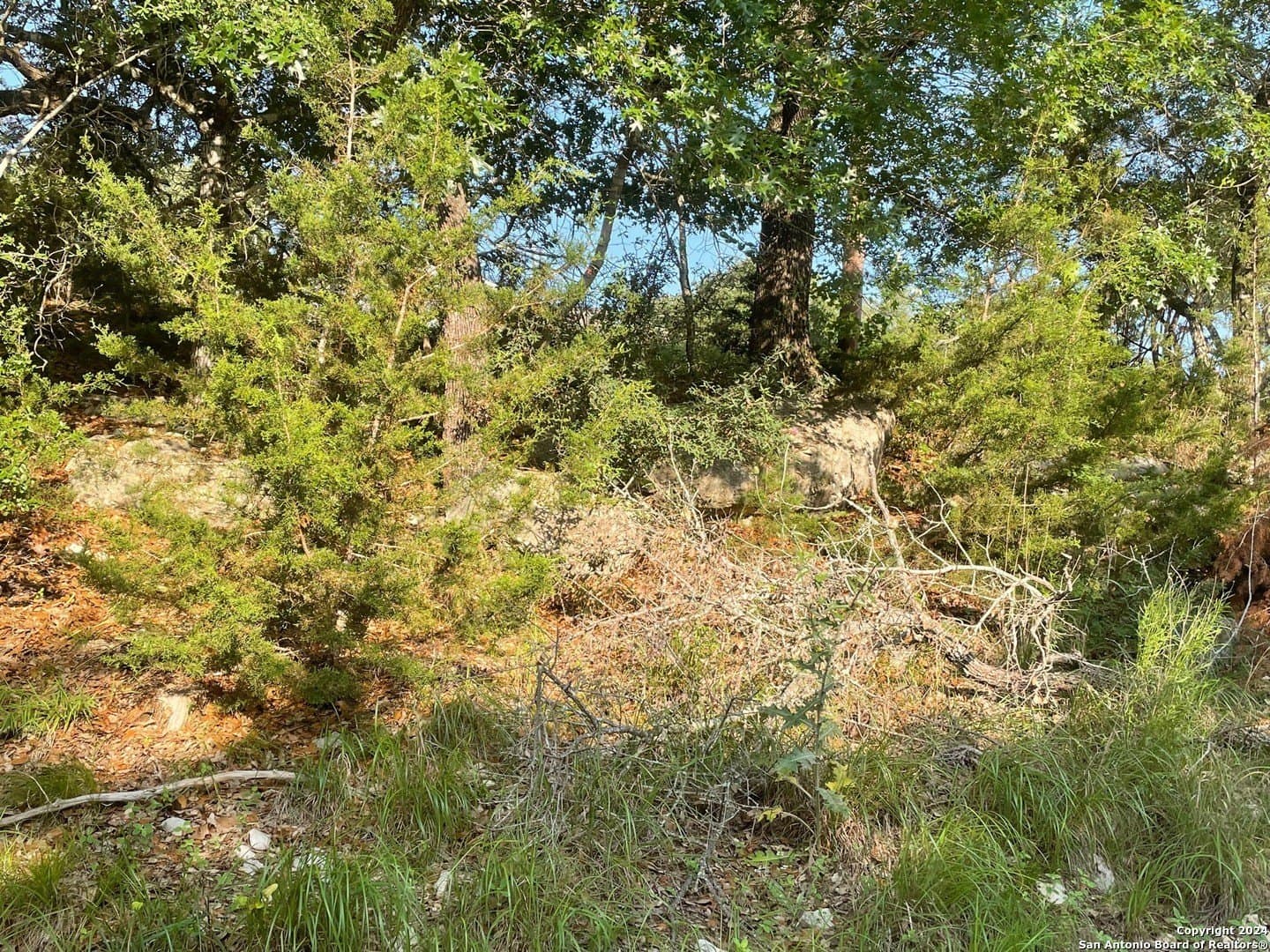 0.57 acres in Comal County - photo 13